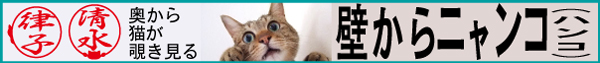 壁からニャンコ