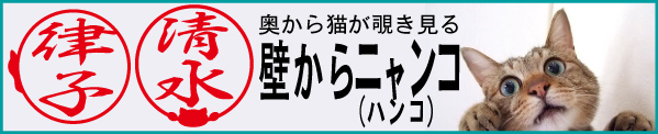 壁からニャンコ