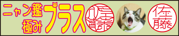 ニャン鑑極みプラス