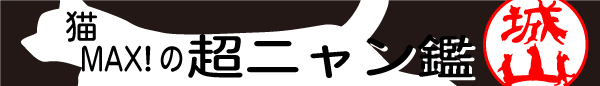 猫まみれの印鑑・超ニャン鑑