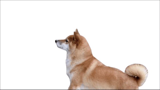 �����Ӄt�F�C�X �A�j��